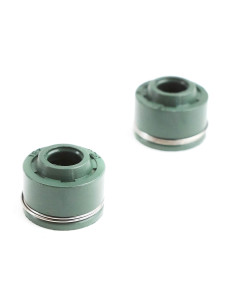 Uszczelniacze zaworowe 250-66 dirt bike Kayo