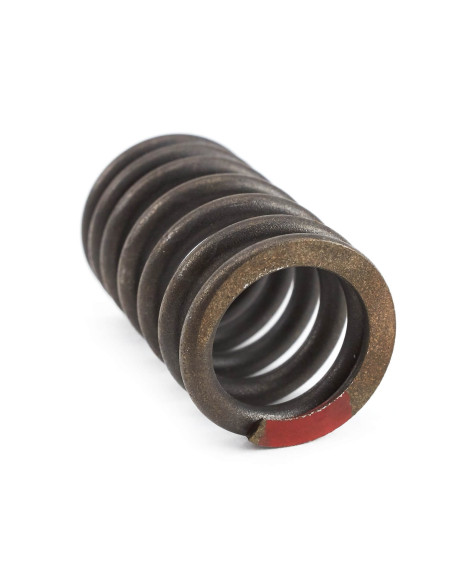 Zewnętrzna sprężyna zaworowa 250-66 dirt bike Kayo