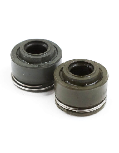 Uszczelniacze zaworowe dirt bike 250-69 Kayo