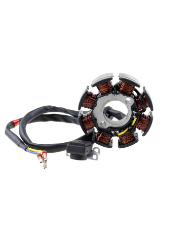 Stator dirt bike 250-69 Kayo