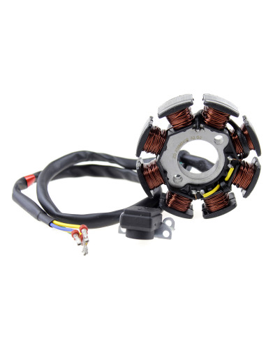 Stator dirt bike 250-69 Kayo