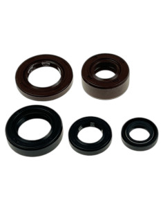 Uszczelniacze silnika Z190 MRF