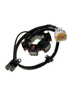 Stator quad 125 KAYO
