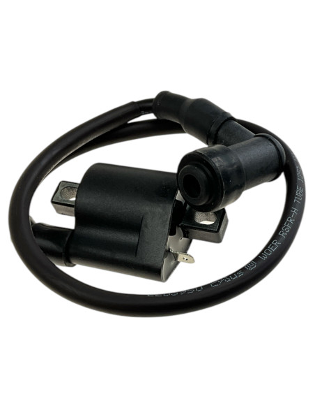 Cewka zapłonowa Mini GP 107/157 YCF