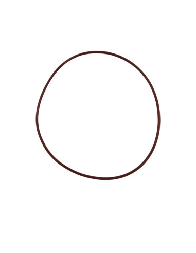 O-ring statora mod2 125 pitbike Kayo