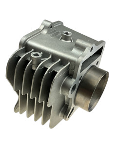 Cylinder pitbike 140 YX