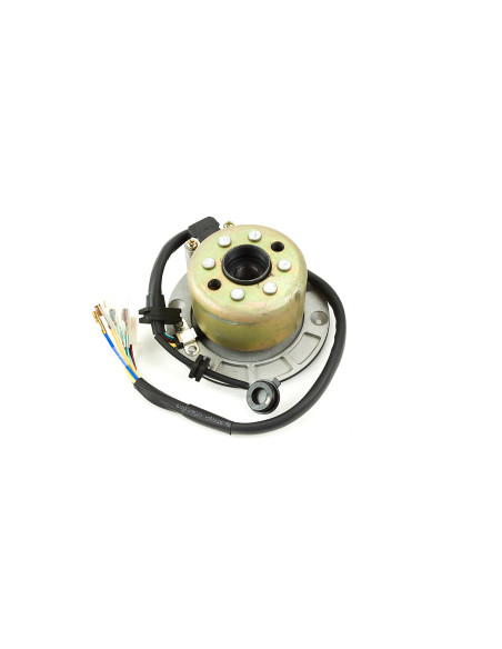 Stator i magneto pitbike Z125 MRF