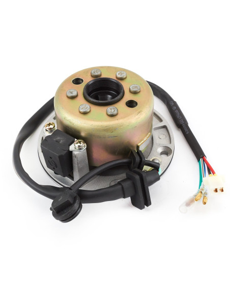 Stator i magneto pitbike Z155 MRF
