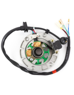 Stator dwucewkowy pitbike Z155 MRF
