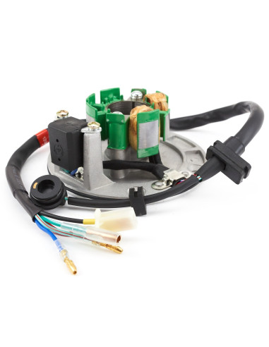 Stator dwucewkowy pitbike Z155 MRF