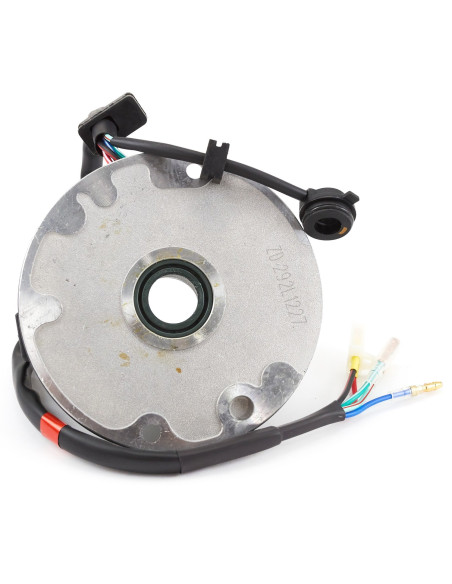 Stator dwucewkowy pitbike Z155 MRF