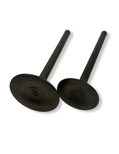 Zawory pitbike 140 YX