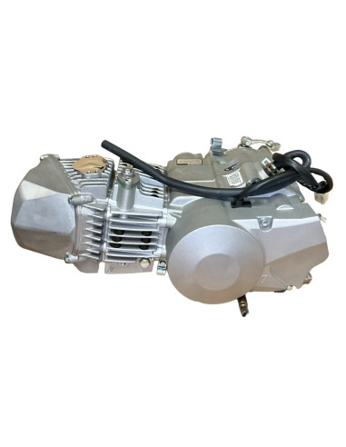 Silnik 190 cm3 4v 5-biegów FSM pitbike Anima Daytona