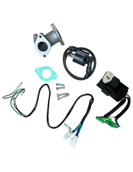 Silnik 190 cm3 4v 5-biegów FSM pitbike Anima Daytona