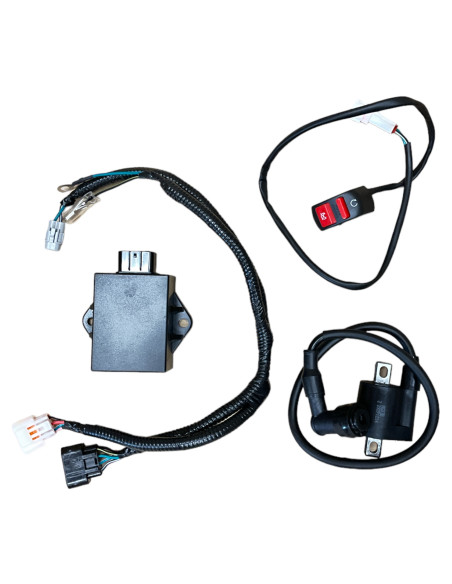 Silnik pitbike G125 cm3 ZS YCF