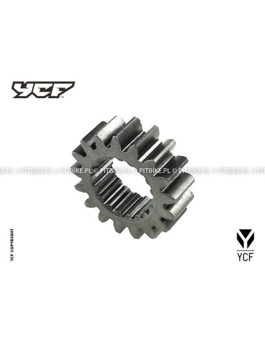 Zębatka napędu pompy oleju pitbike...