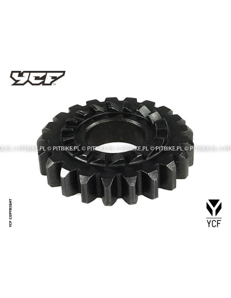 Zębatka kopniaka pitbike pitbike 150/150CRF/150KLX YCF