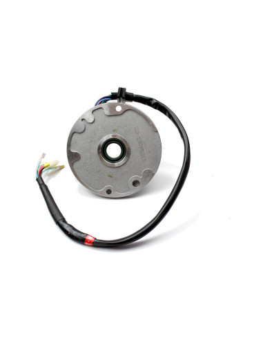 Stator Z125 pitbike Kayo