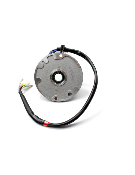 Stator Z125 pitbike Kayo