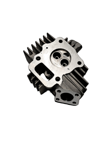 Głowica 50 pitbike Kayo