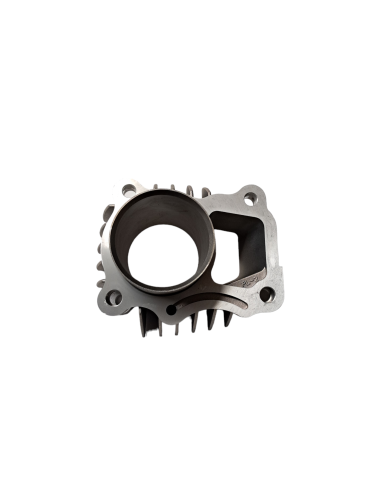 Cylinder 50 pitbike Kayo