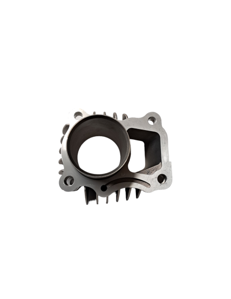 Cylinder 50 pitbike Kayo