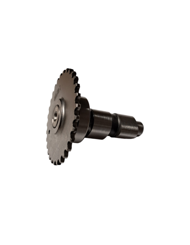 Wałek rozrządu 50 pitbike Kayo