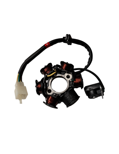 Stator 50 pitbike Kayo