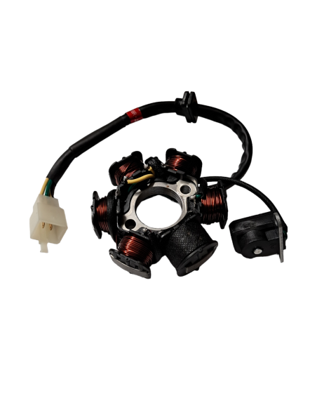 Stator 50 pitbike Kayo