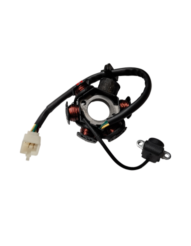 Stator 50 pitbike Kayo