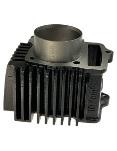 Cylinder pitbike 110 Kayo