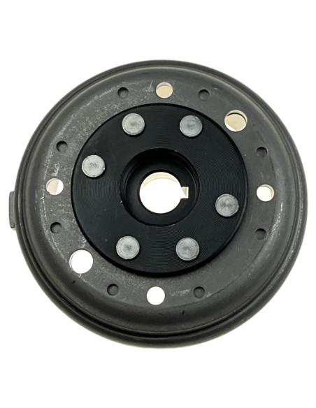 Magneto pitbike 110 Kayo