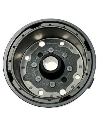 Magneto pitbike 110 Kayo