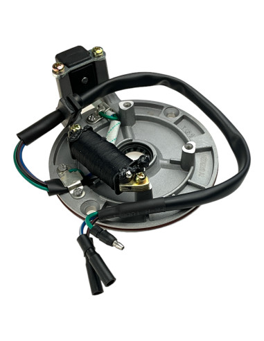 Stator pitbike 110 Kayo
