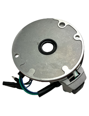 Stator pitbike 110 Kayo