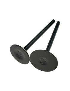 Zawory komplet Z190 pitbike Kayo