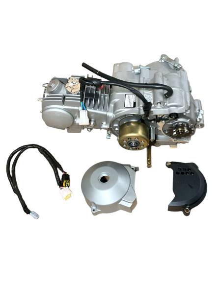 Silnik 110cm3 ZS YCF