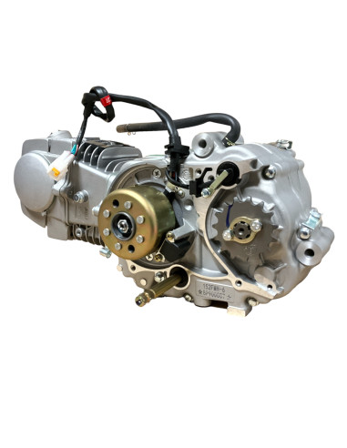 Silnik 110cm3 ZS YCF