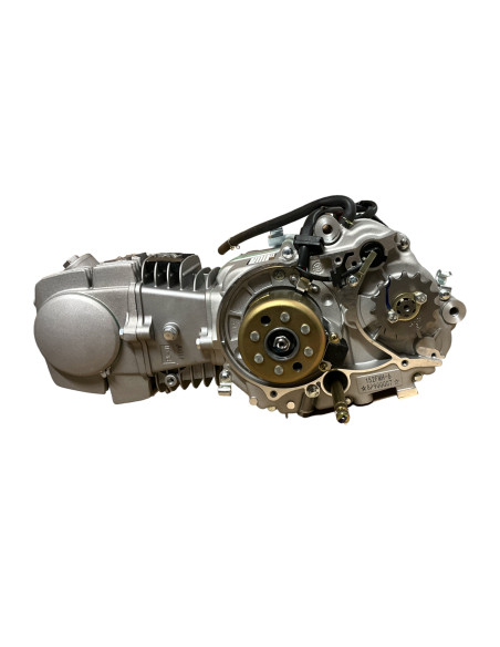 Silnik 110cm3 ZS YCF