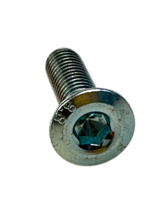 Śruba tarczy hamulcowej M8x25 mm Mini GP YCF