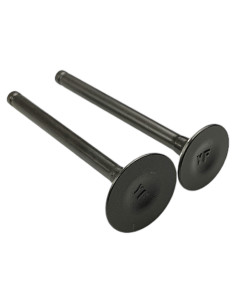 Zawory komplet pitbike 110 Kayo