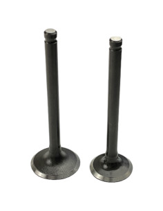 Zawory komplet pitbike 110 Kayo 2