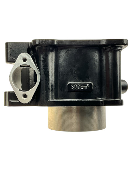 Cylinder ZS300 dirt bike Kayo