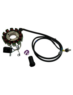 Stator ZS300 dirt bike Kayo 2