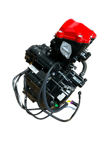 Silnik ZS 300 cm3 dirt bike K5 Kayo