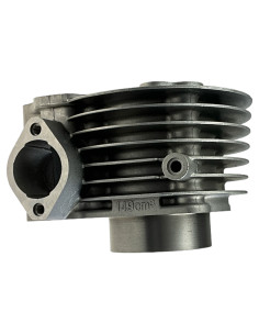 Cylinder quad AU150 CVT KAYO