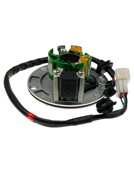 Stator pitbike ZS125-G YCF