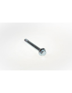 Śruba kiwaka 12*110*M12*1.25mm dirt bike K4/K5 Kayo