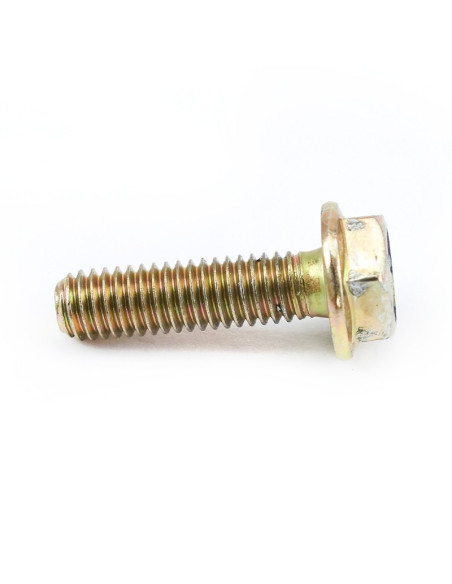 Śruba do płyty dociskającej sprzęgło M6x22 pitbike Z155 MRF