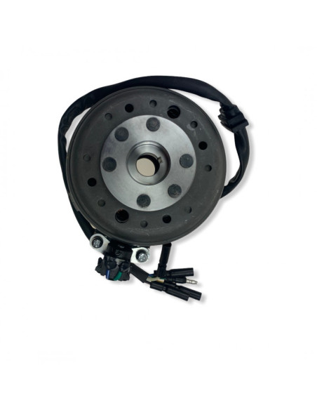 Stator i magneto 12V 6 cewek pitbike 140 YX